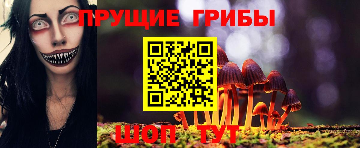 Псилоцибиновые грибы ЛСД Бор